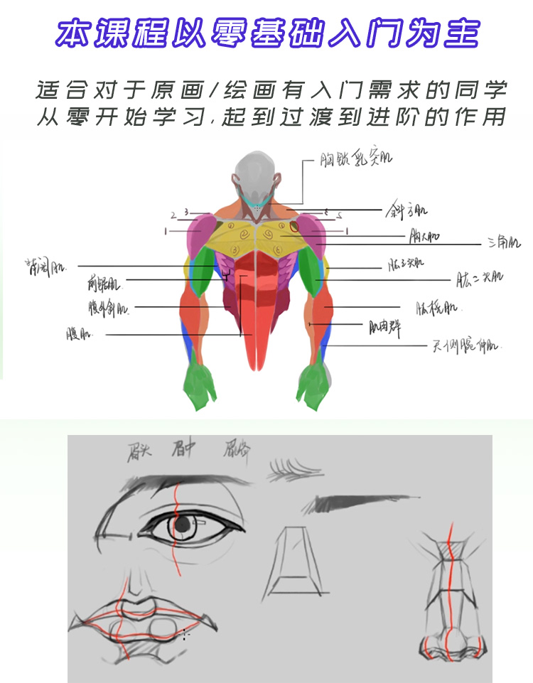 课程详情