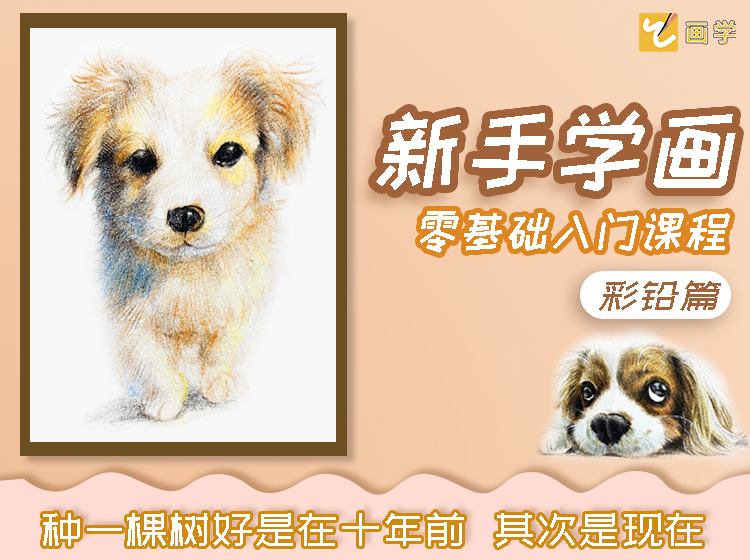 彩铅双入门